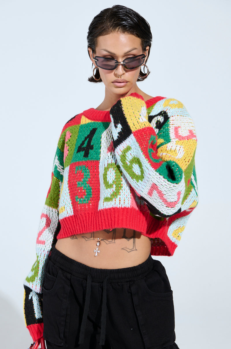 TOO MANY NUMBERS SWEATER