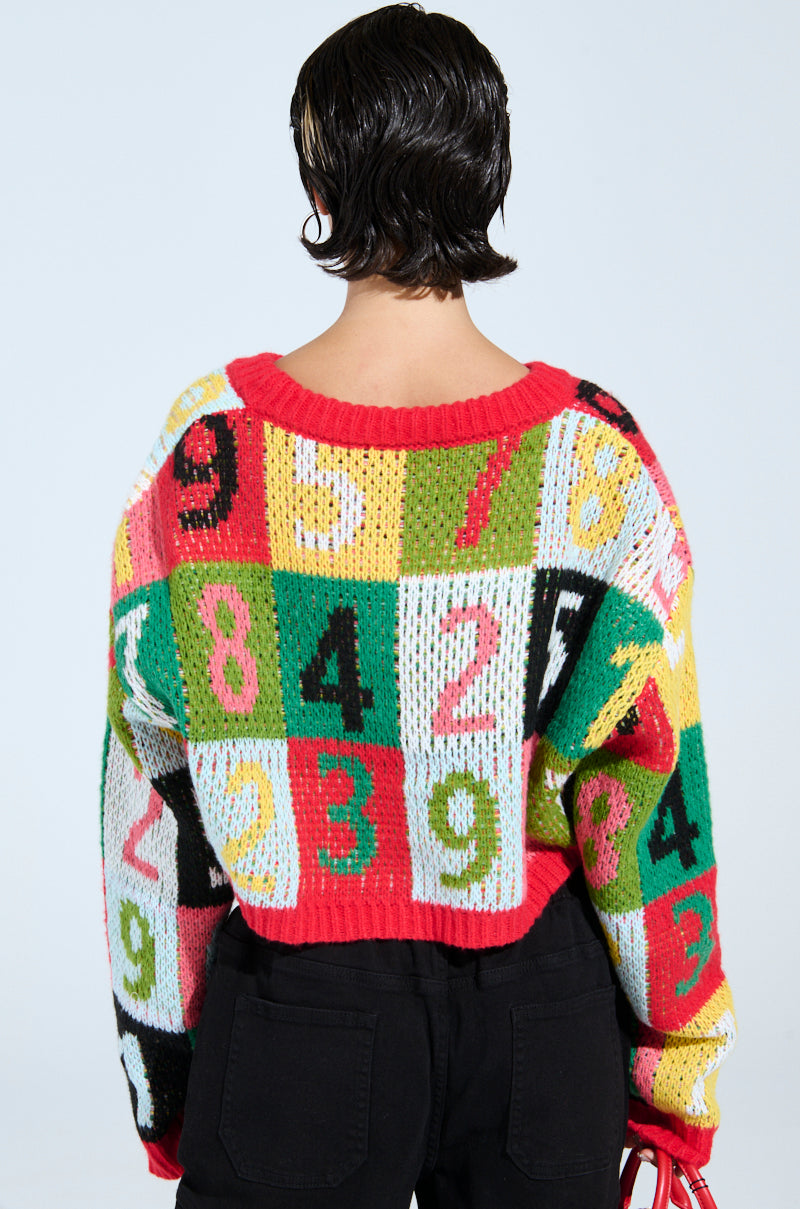 TOO MANY NUMBERS SWEATER