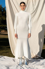 TOPAZ LONG SLEEVE TURTLENECK SWEATER DRESS